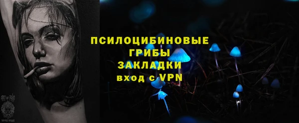 гидра Алексин