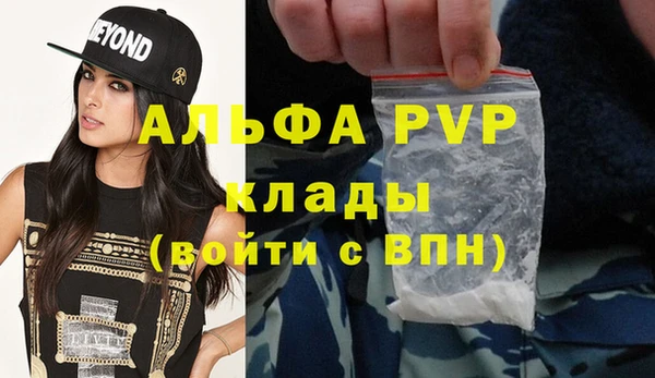 гидра Алексин