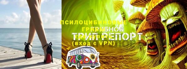 ПСИЛОЦИБИНОВЫЕ ГРИБЫ Сатка