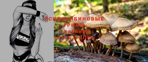 марки nbome Саяногорск