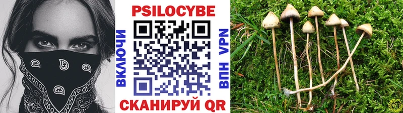 Галлюциногенные грибы Psilocybe мега Воткинск